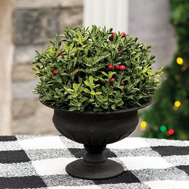 New England Boxwood With Berries Half Sphere, 8